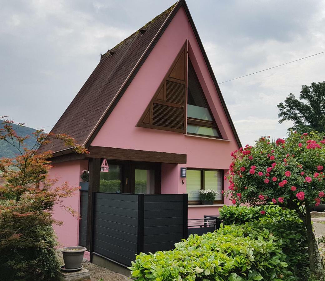 Gite Delphine Kaysersberg-Vignoble Exteriör bild